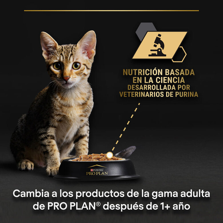 Pro Plan NutriSavour Feline Junior Peru saqueta em molho, , large image number null